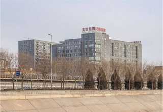 新款陶瓷块氧化锆共同合作