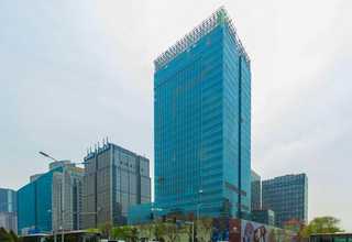 江北区黑色柴犬