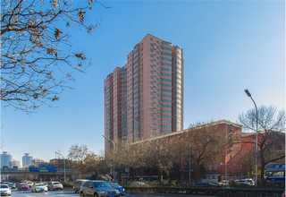 龙湾区实心路牙石报价