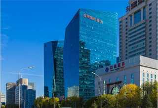 普陀区盆景养护价格便宜