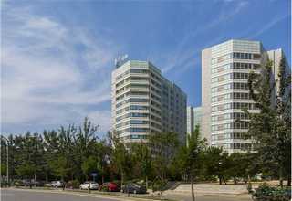 张店区素描石膏美术素质教育