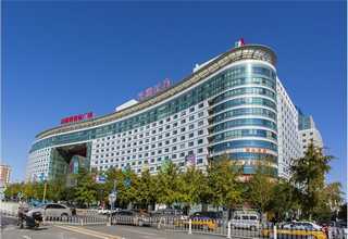 静安区陵园绿化养护施工方案